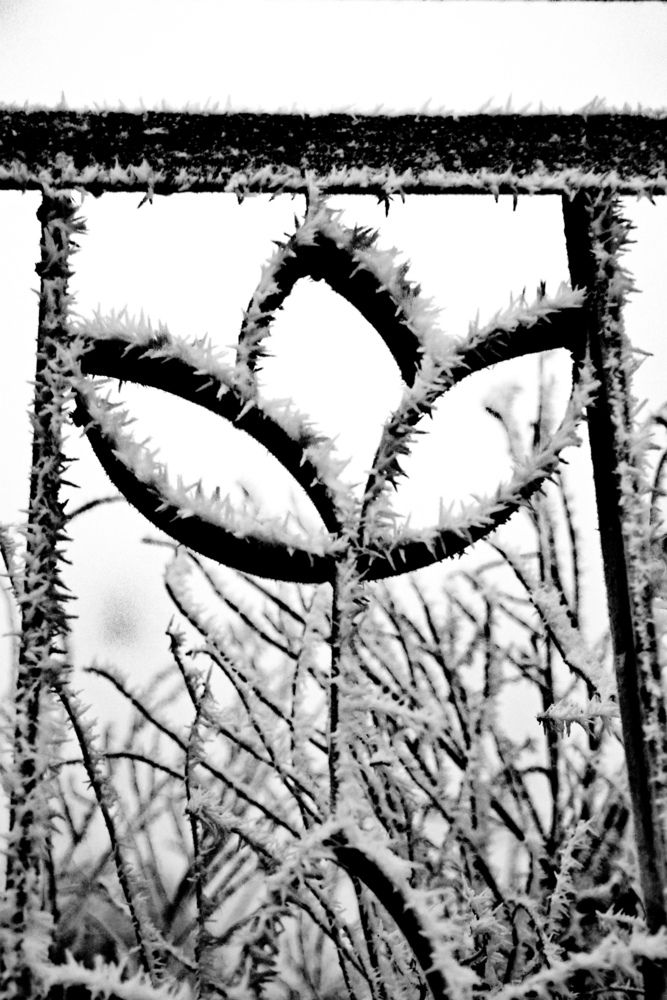 Photograph by Вакулина Марина