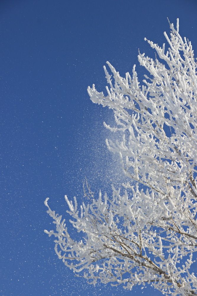 Photograph by Вакулина Марина