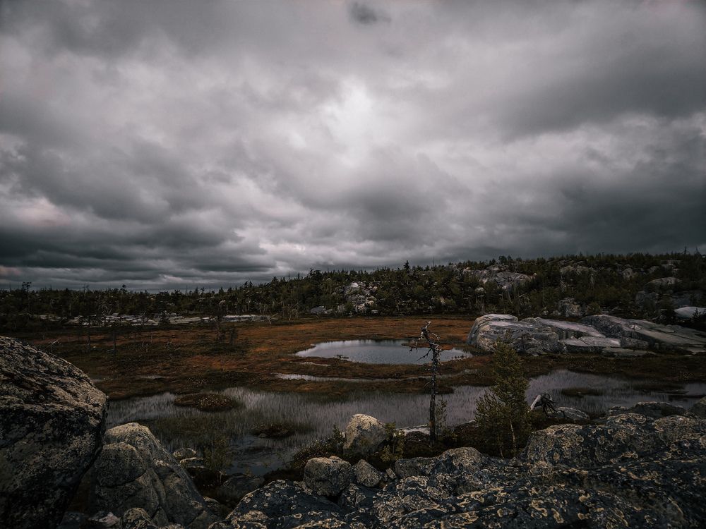 Photo #13012956