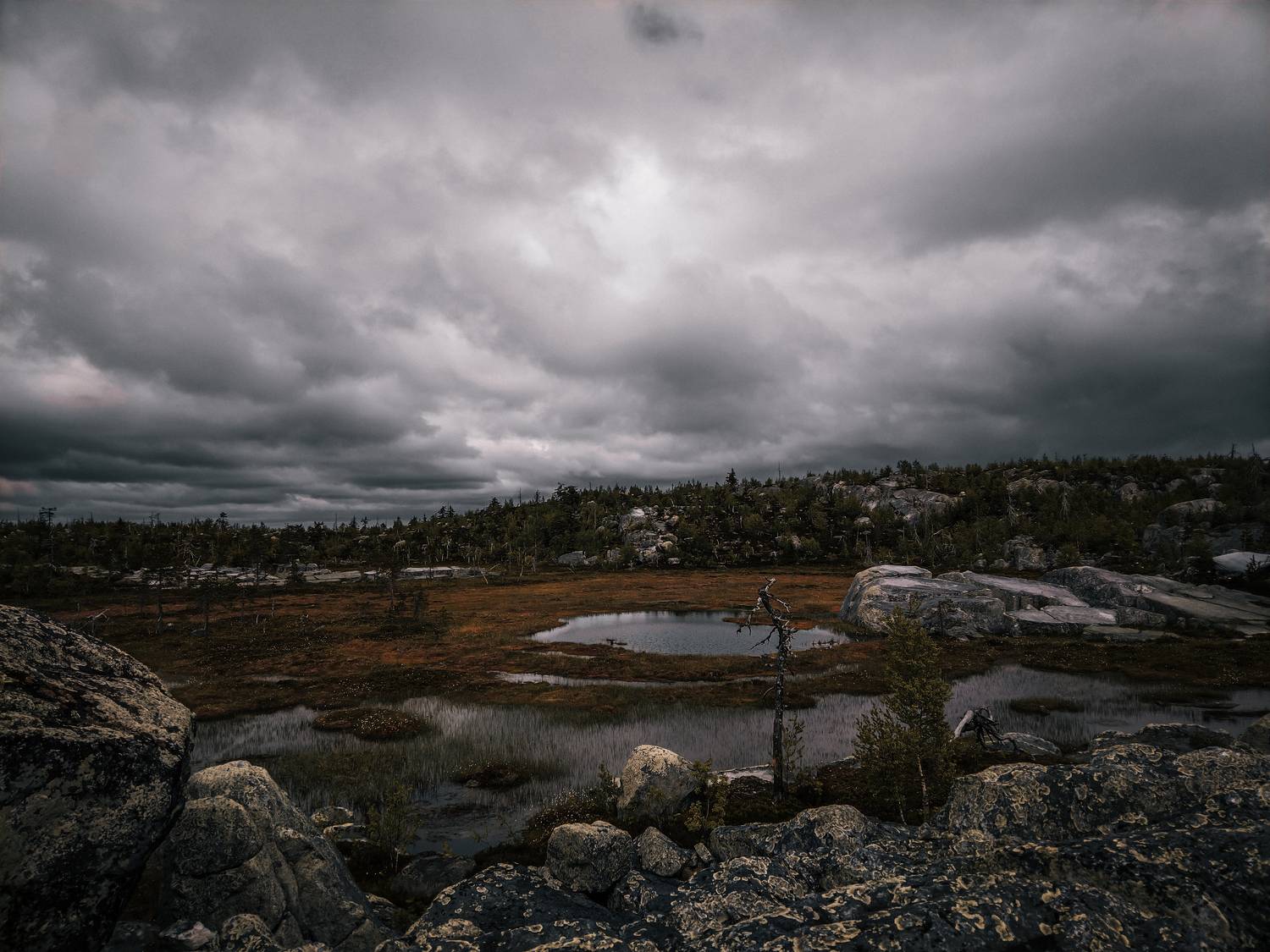 Photo #13012956