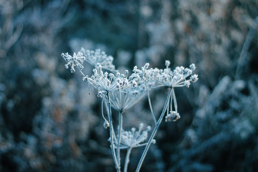 Photograph by Татьяна Герман