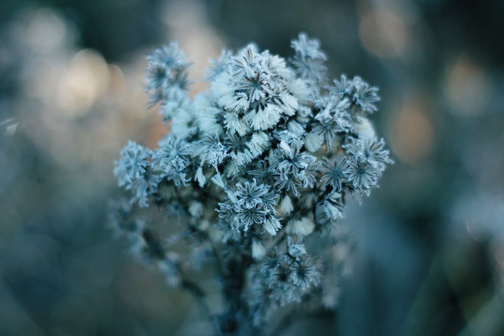 Photograph by Татьяна Герман