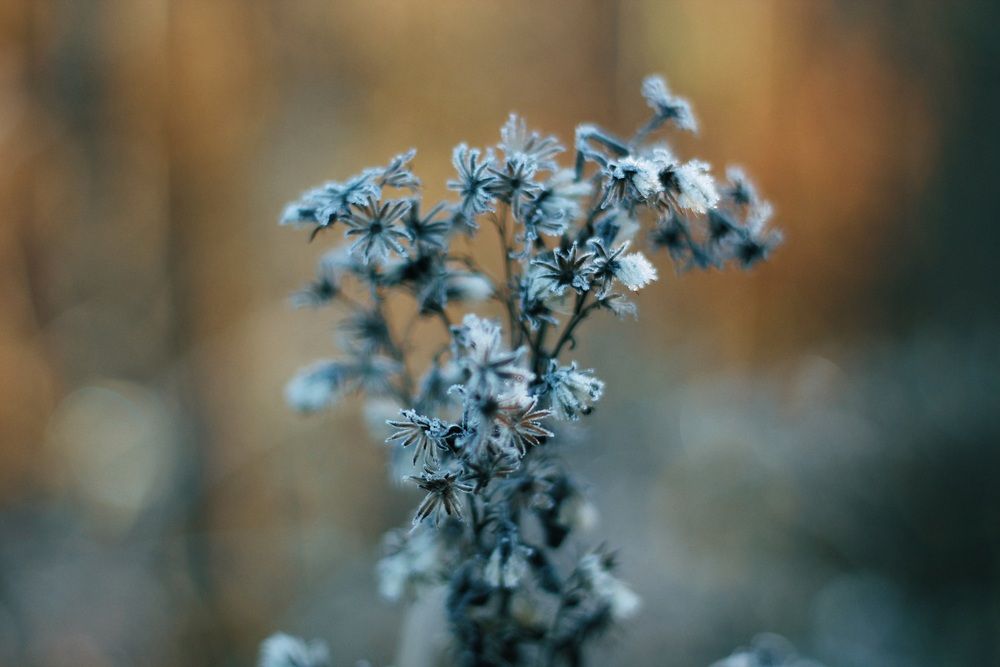 Photograph by Татьяна Герман