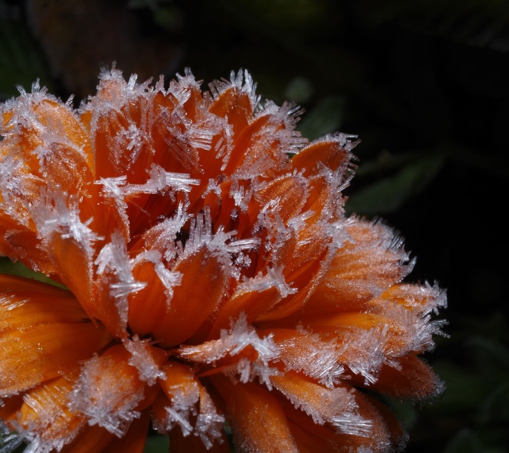 Photograph by Alexander Svetlov