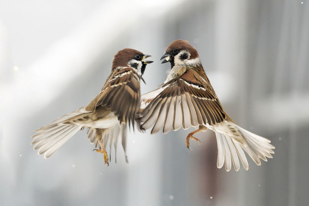 Photograph by Mariya Belyalova