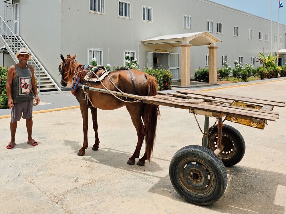 Photograph by Renata Sirazitdinova