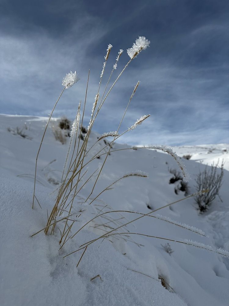 Photograph by Svetlana Rashidova