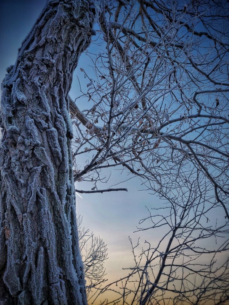 Photograph by Наталья Гущина