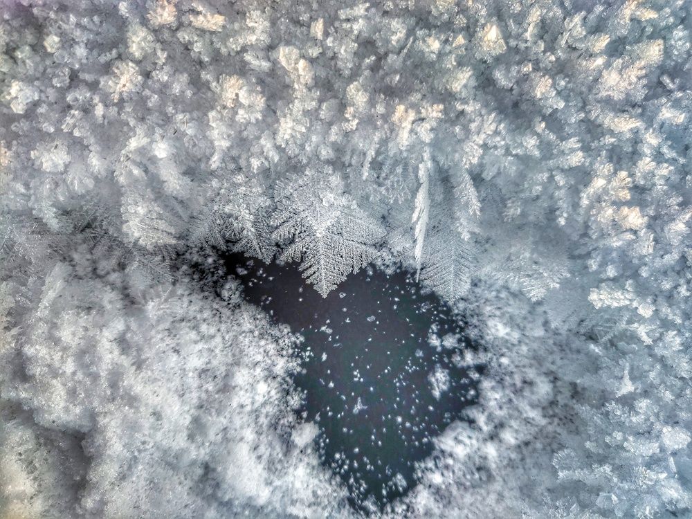 Photograph by Наталья Гущина