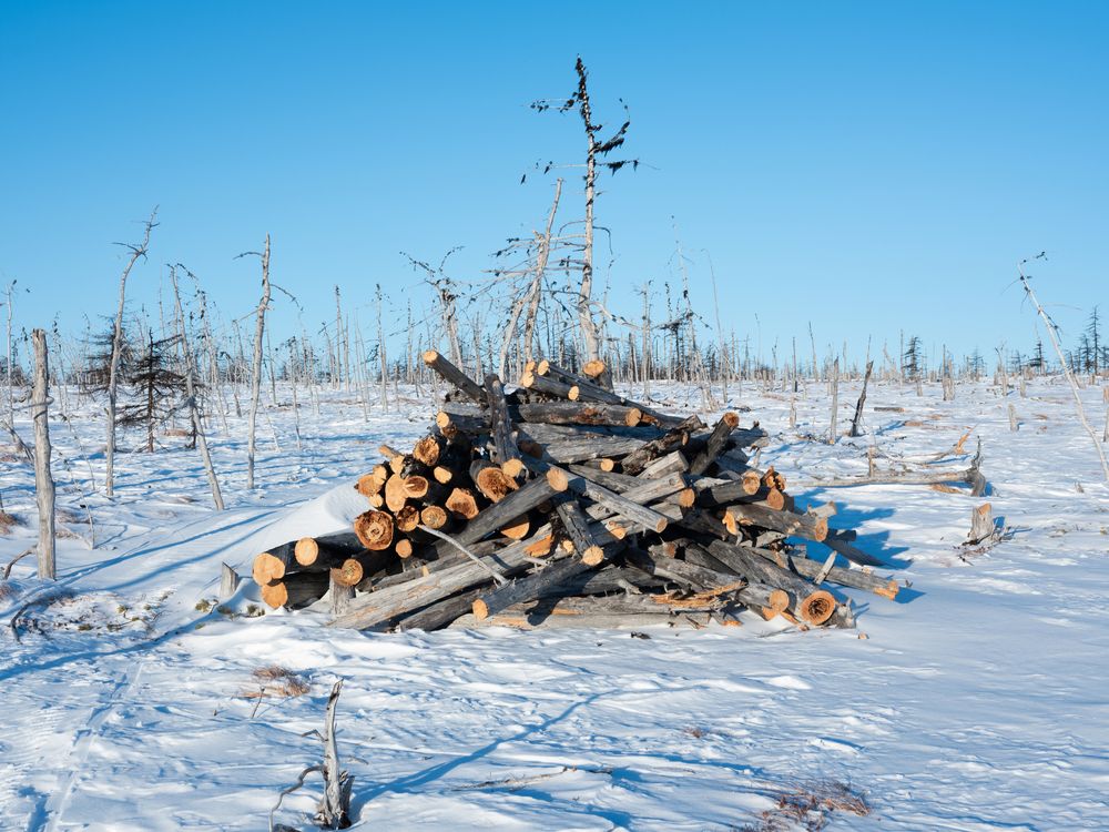 Photograph by Хазан Сергей