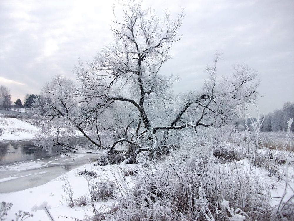 Photograph by Колесов Сергей