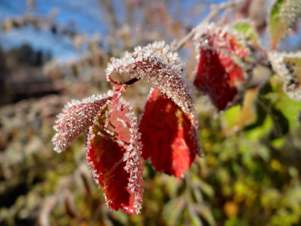 Photograph by Колесов Сергей