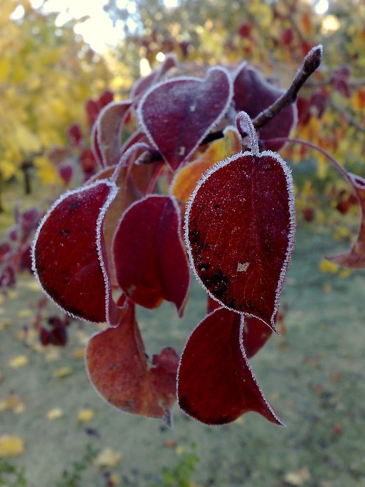 Photograph by Колесов Сергей