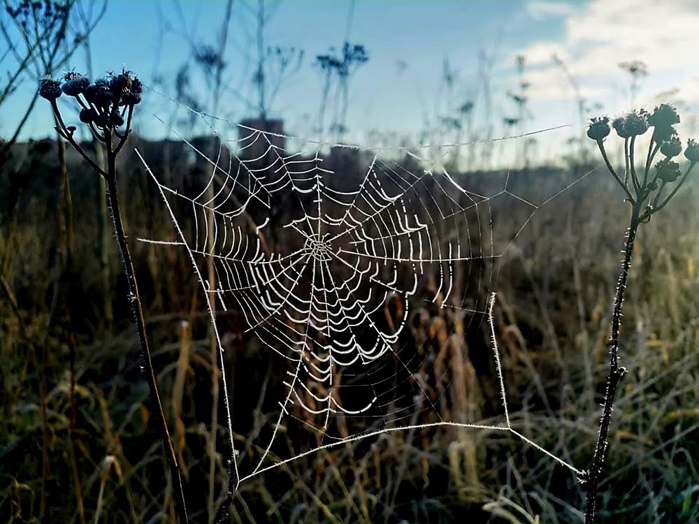 Photograph by Заира