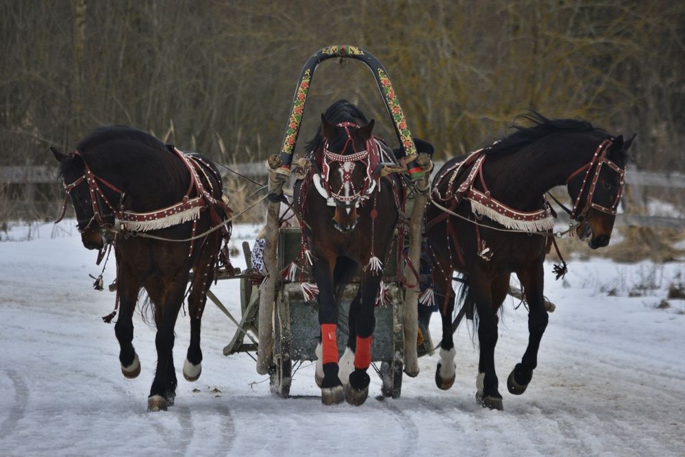 Фотография автора Галина Катанова