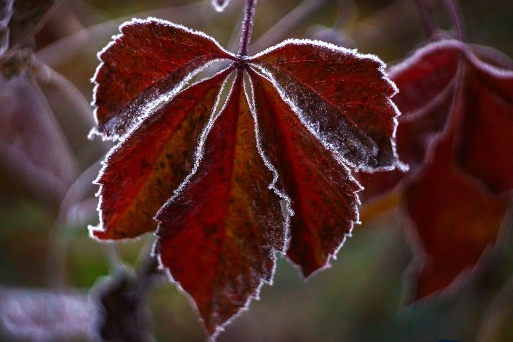 Photograph by Татьяна Шандромайло