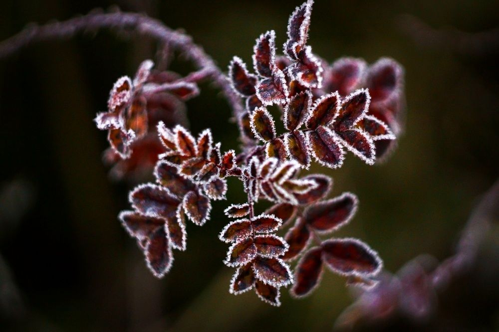 Photograph by Татьяна Шандромайло