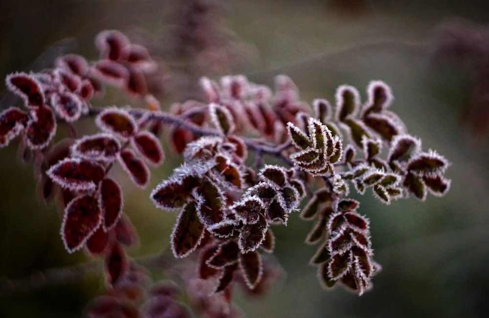 Photograph by Татьяна Шандромайло