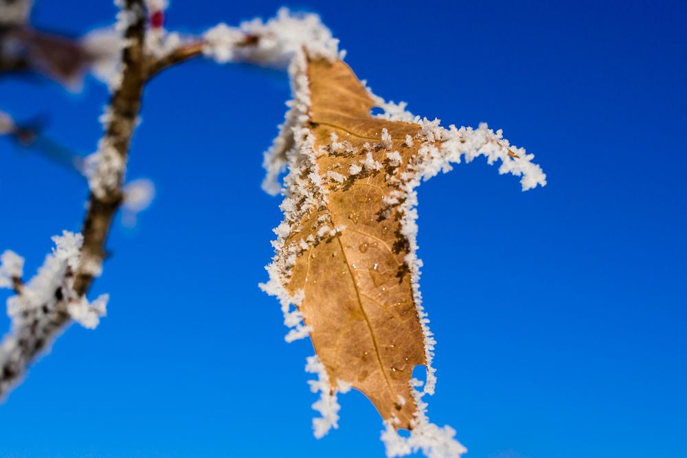 Photograph by Владимир Говоров