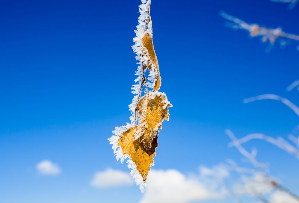 Photograph by Владимир Говоров