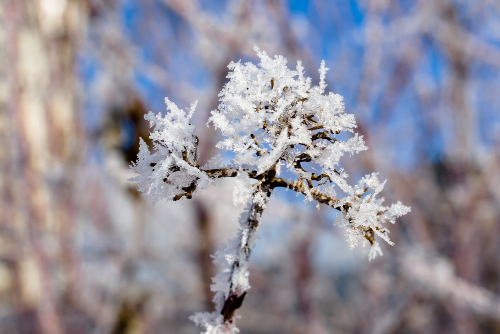 Photograph by Владимир Говоров