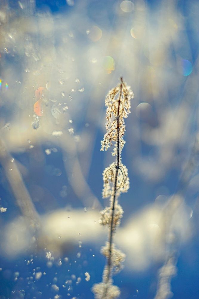 Photograph by Татьяна Шандромайло