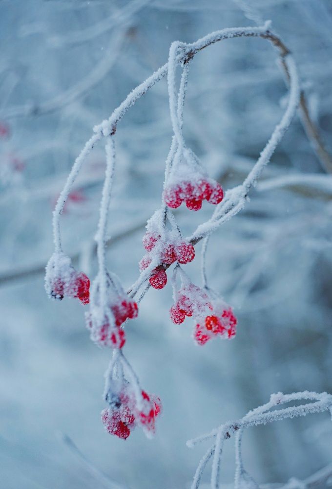 Photograph by Татьяна Шандромайло