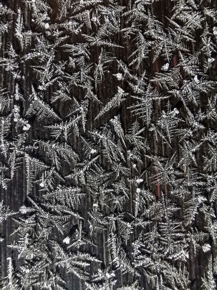 Photograph by Irina Tischer