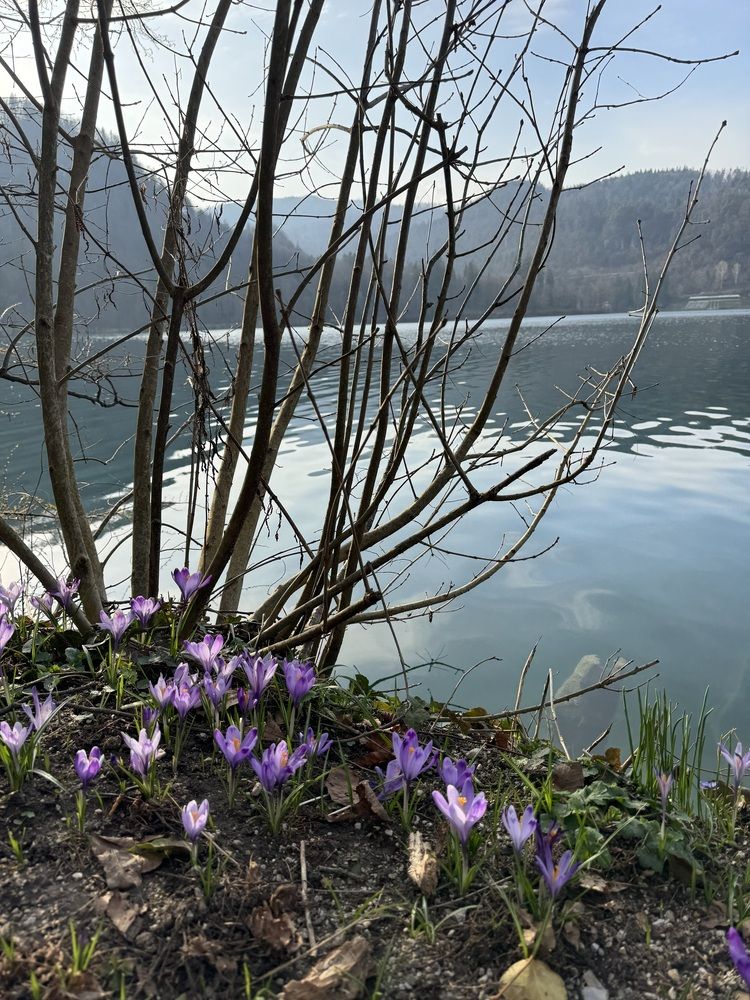 Photograph by Анна Медведева