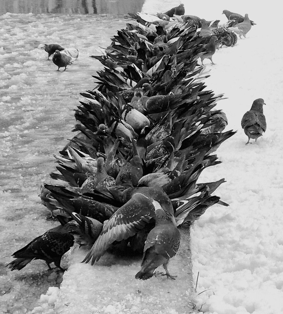 Photograph by Яна Галимуллина