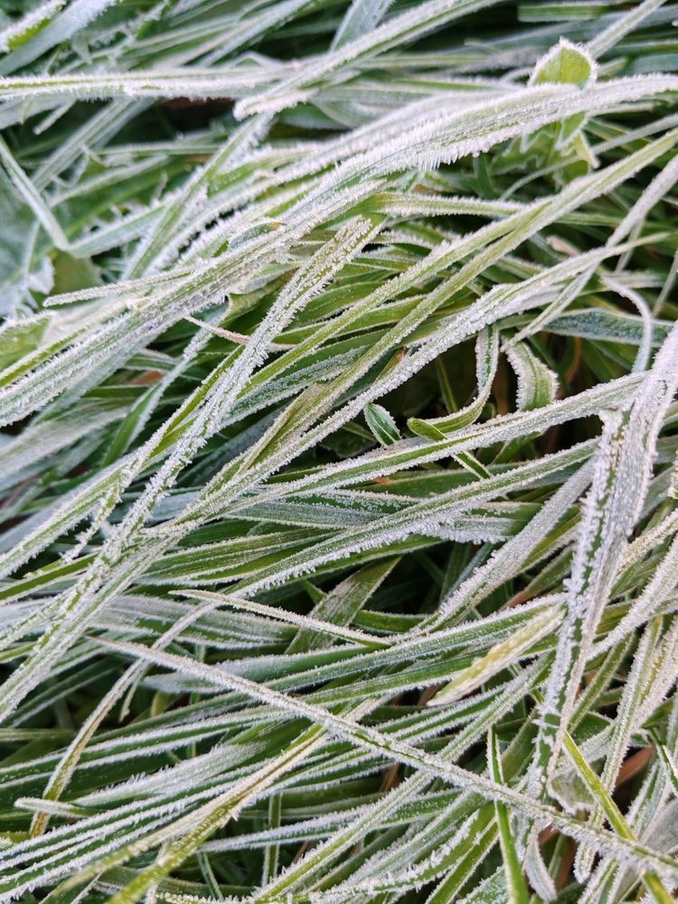 Photograph by Альбина Майкова