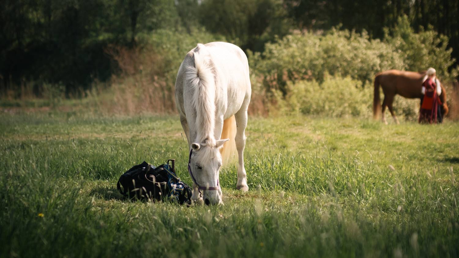 Фотография #13013132