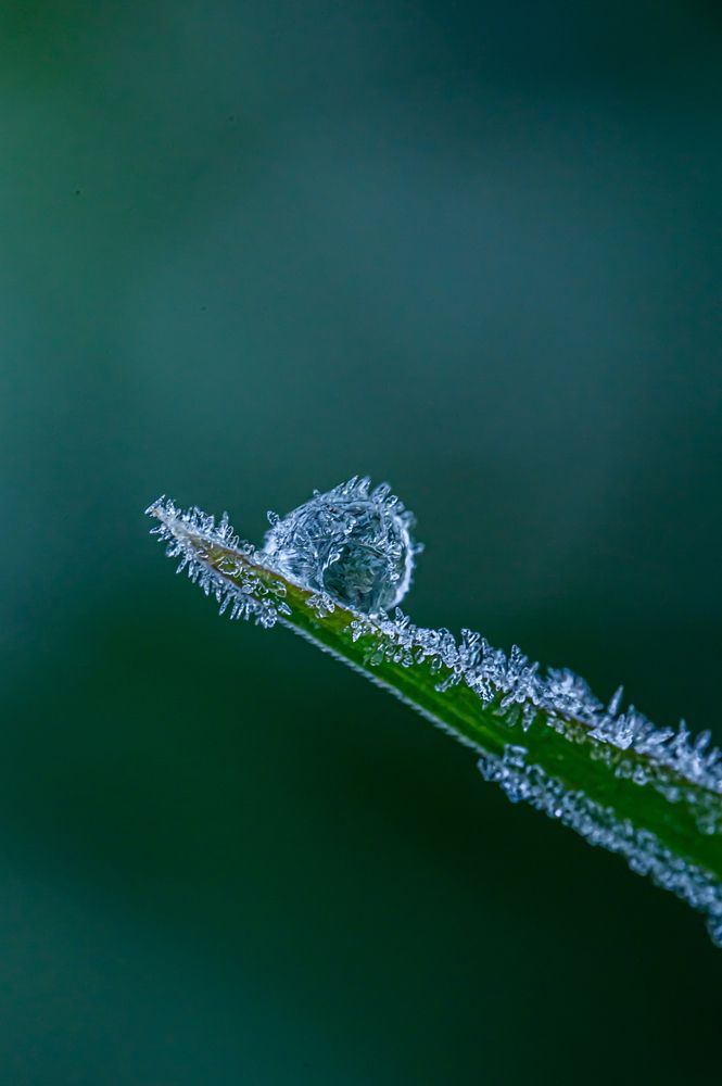 Photograph by Коробов Алексей