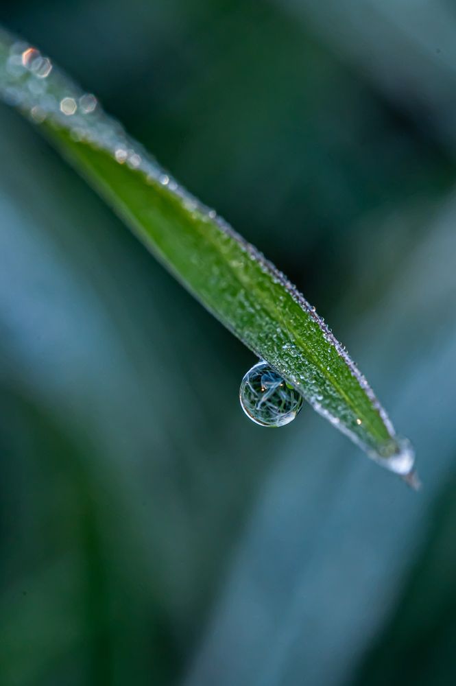 Photograph by Алексей Коробов