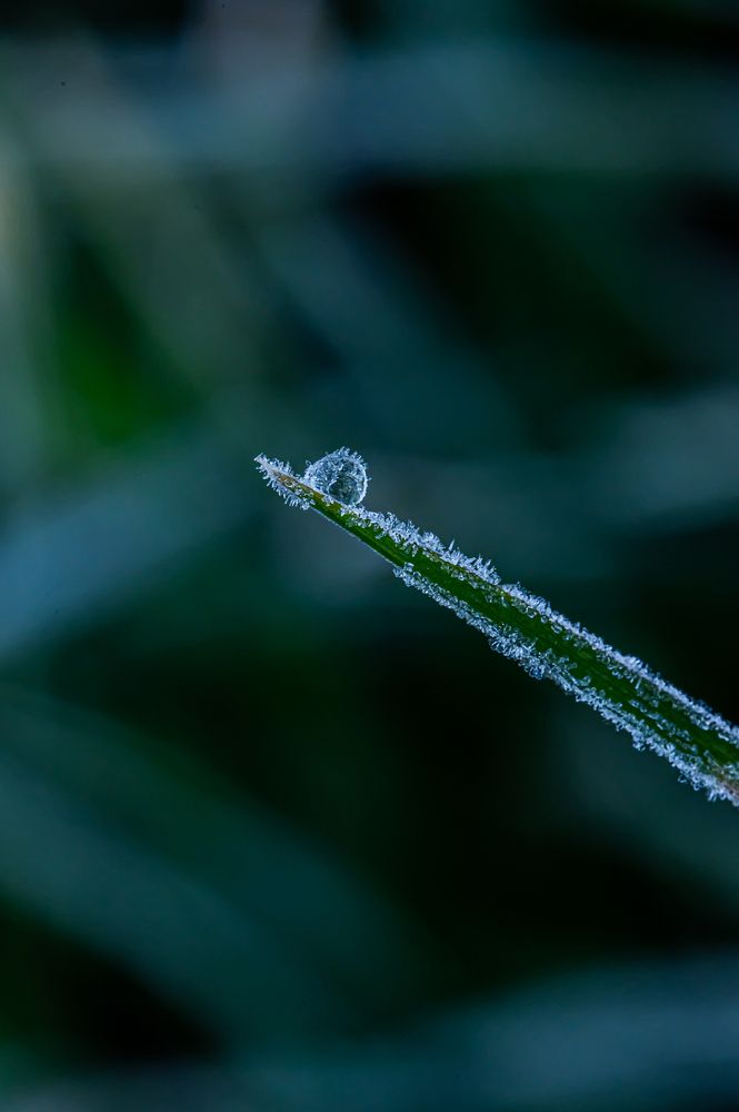 Photograph by Коробов Алексей