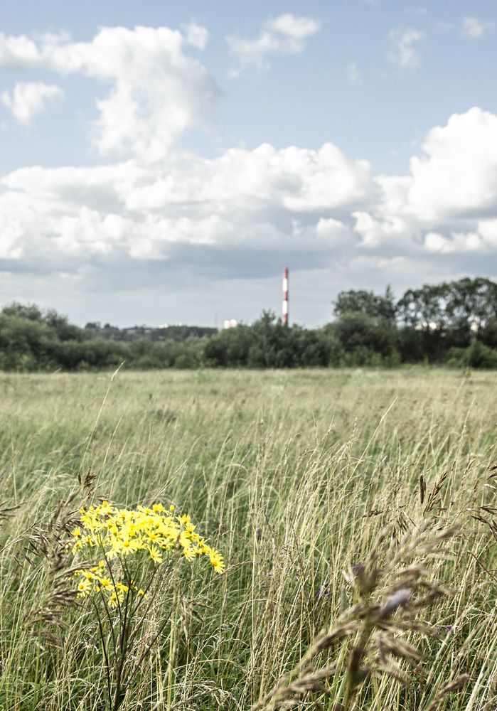 Фотография автора Андрей Рогов