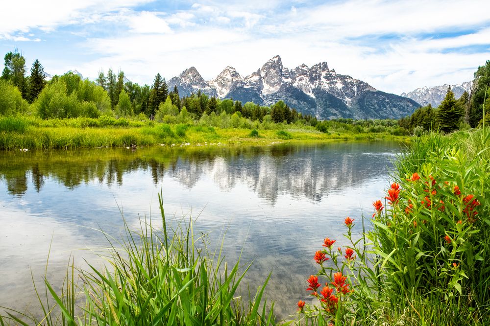 Summer Reflections
