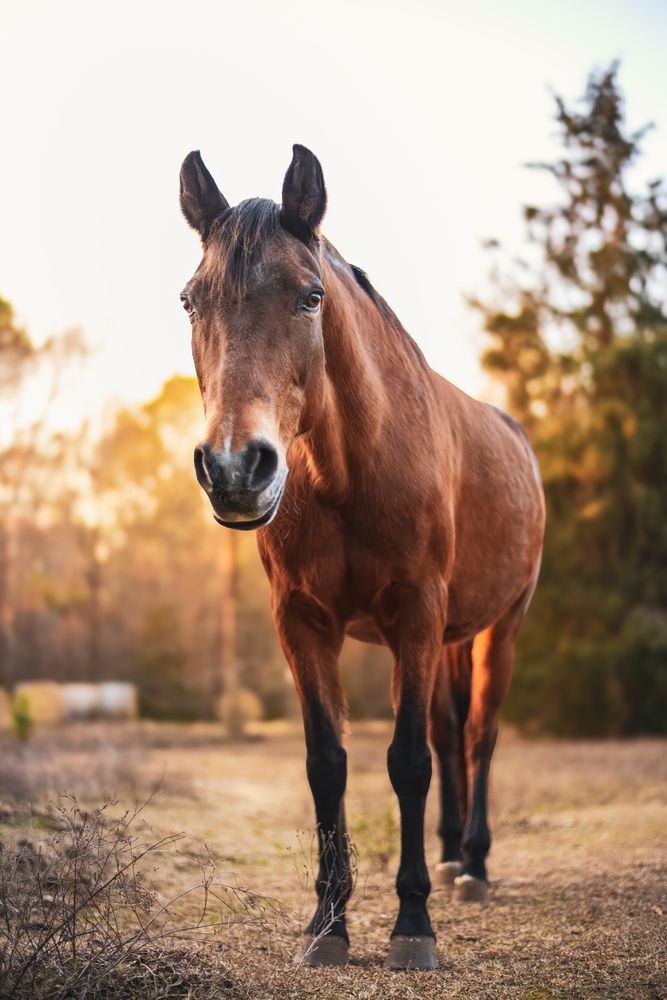 Фотография автора Sarah Jane Moore