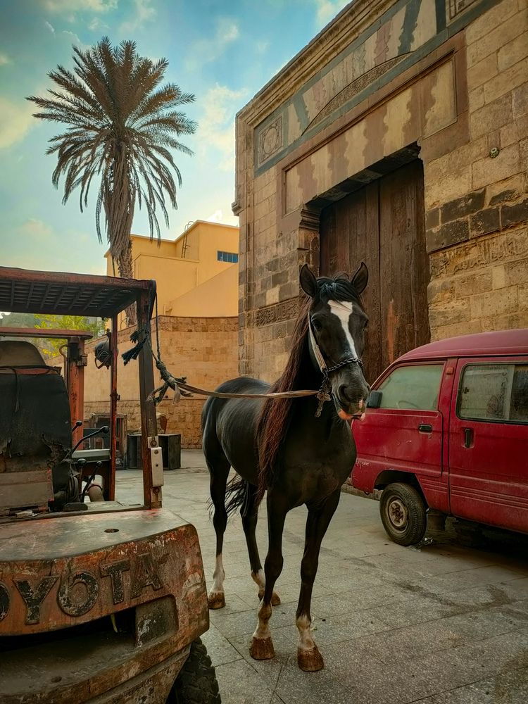 Photograph by Sara Attia