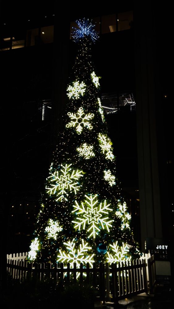 Photograph by Nihar Mane