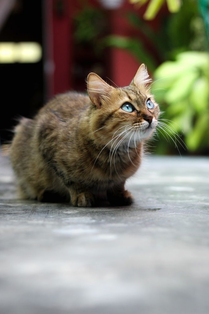 Photo #13013223