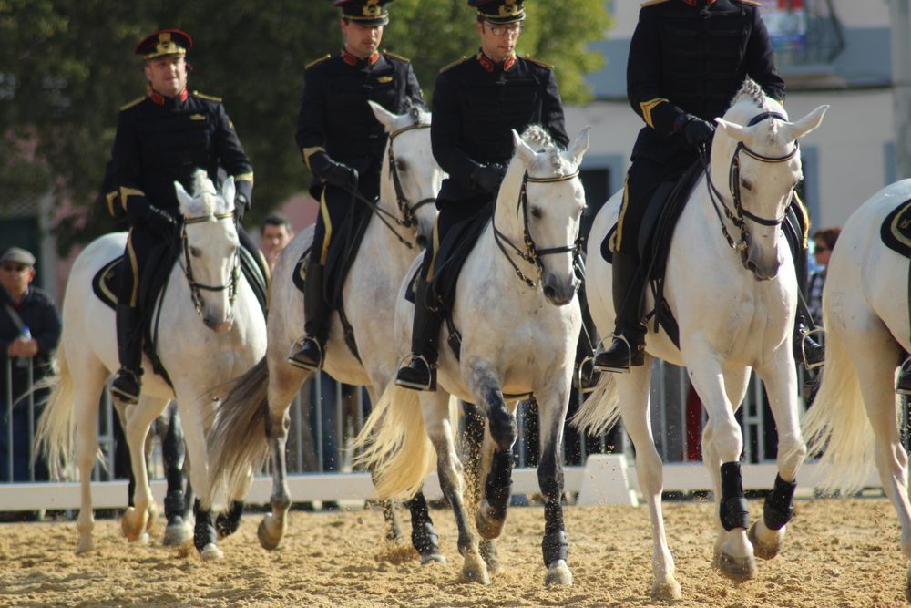 Photograph by Francisco Ferreira