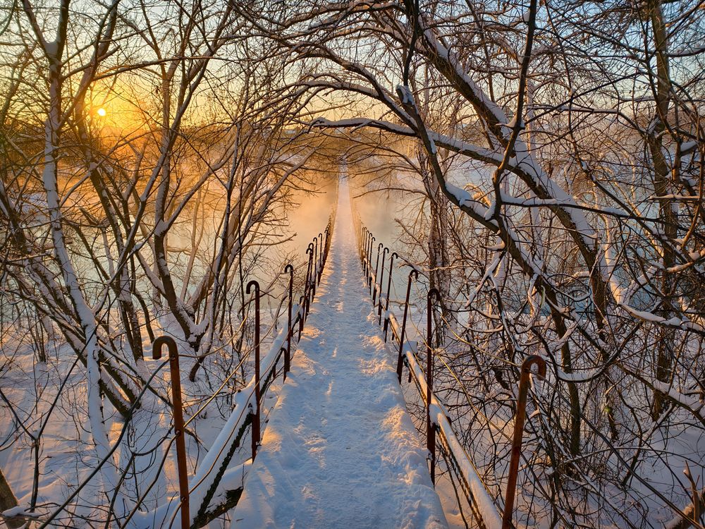 Фотография автора Кухта Мария
