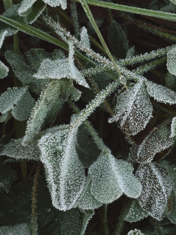 Фотография автора Елена Меньшикова