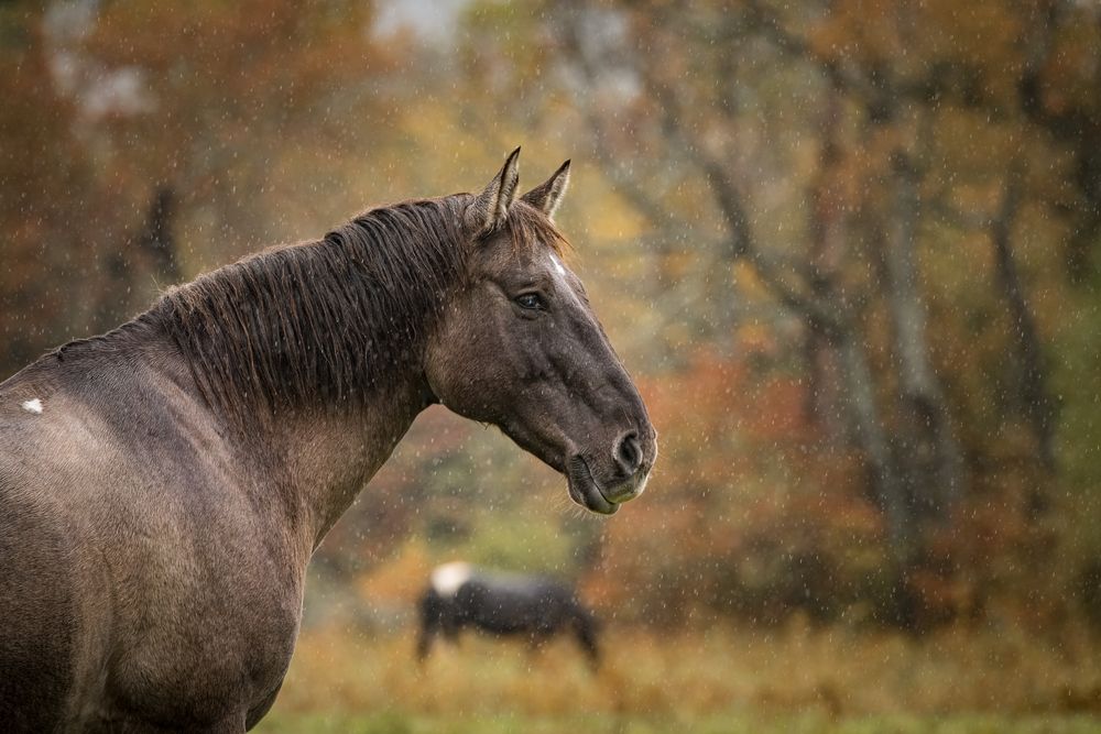 Фотография автора Sarah Jane Moore