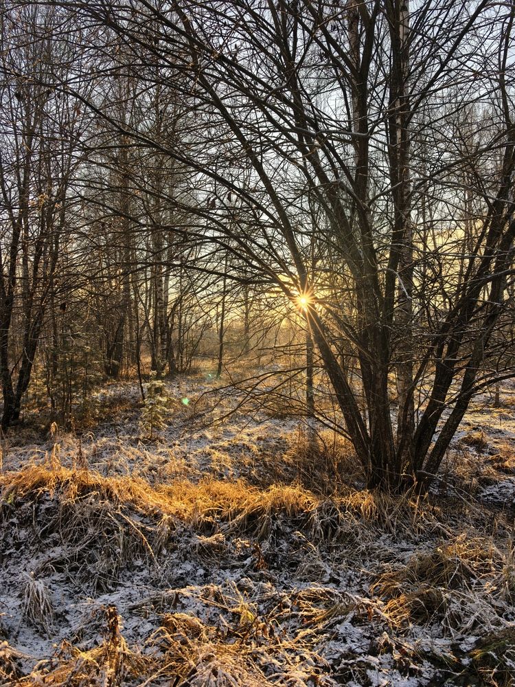 Photograph by Елена Охапкина