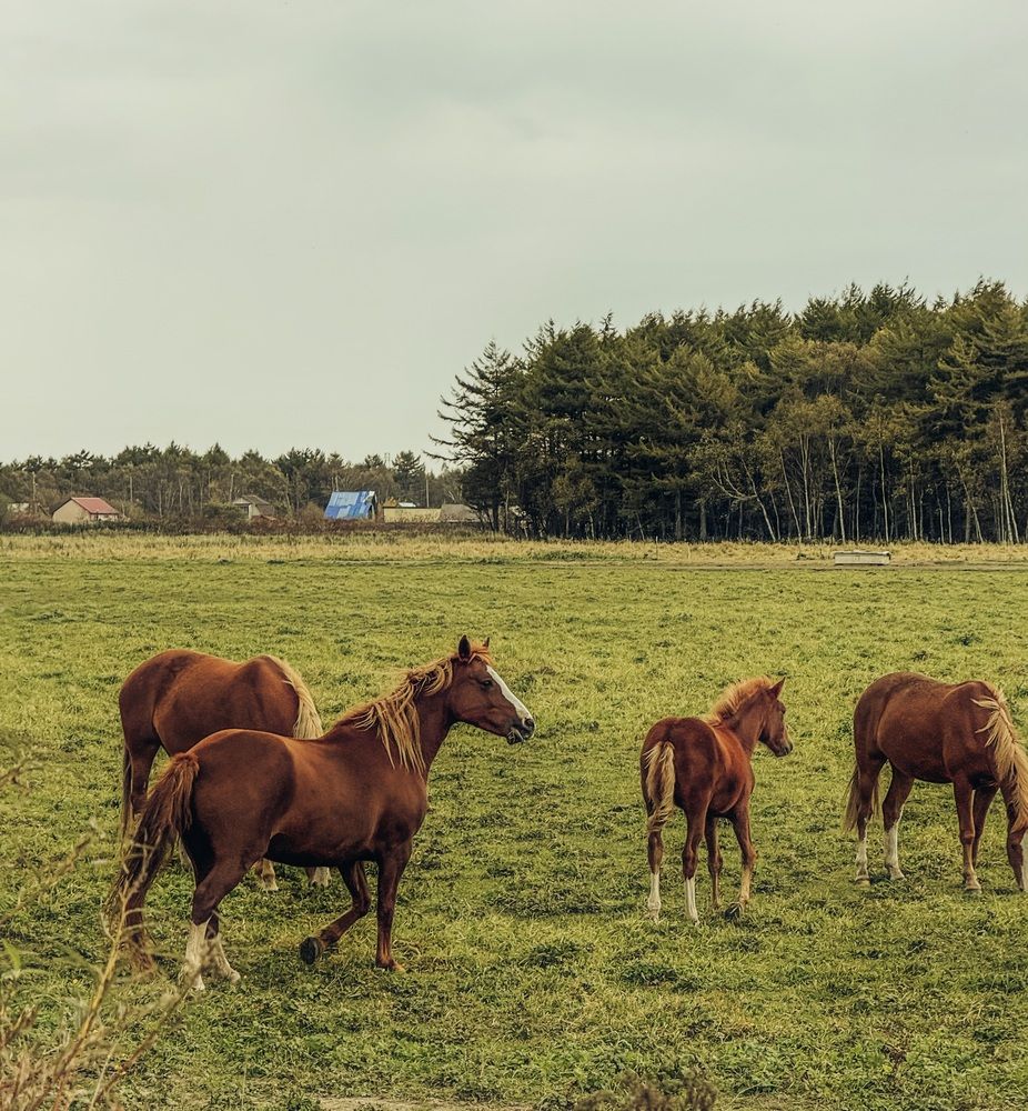 Фотография автора Елена Меньшикова