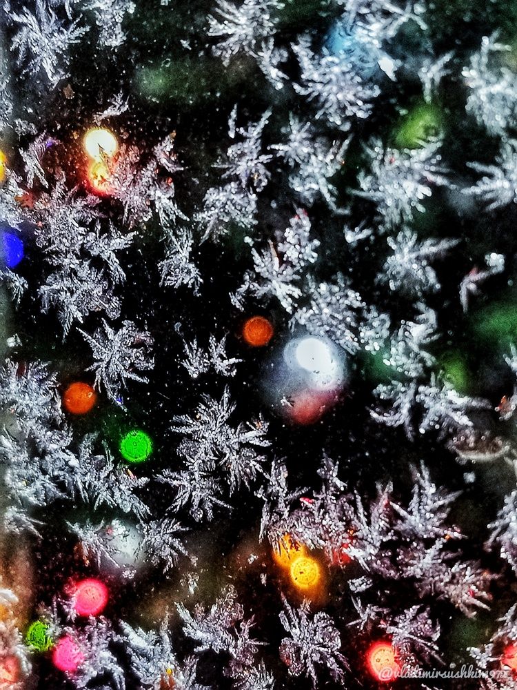 Photograph by Владимир Сушкин