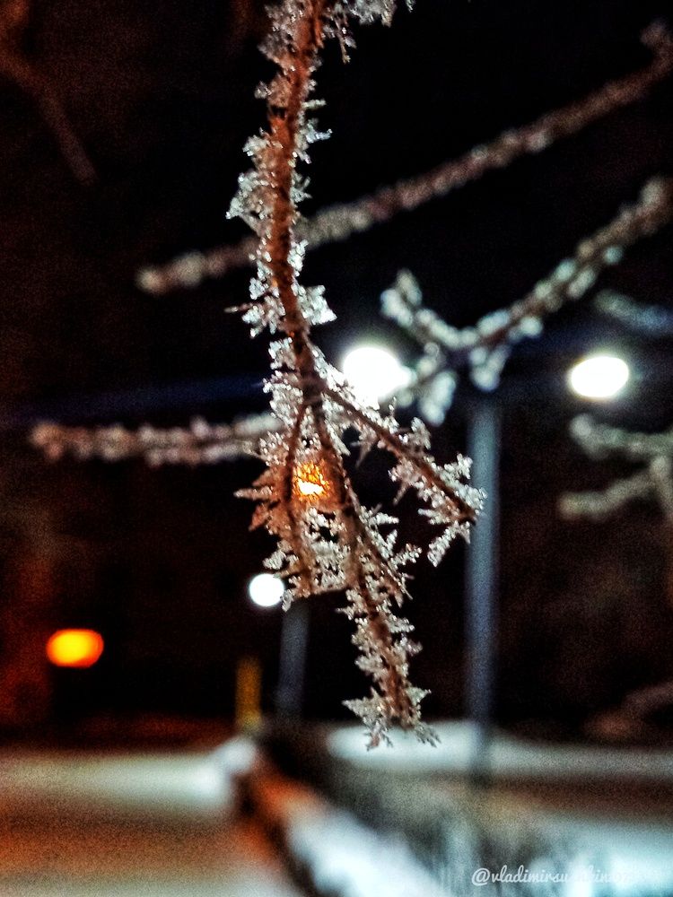 Photograph by Владимир Сушкин