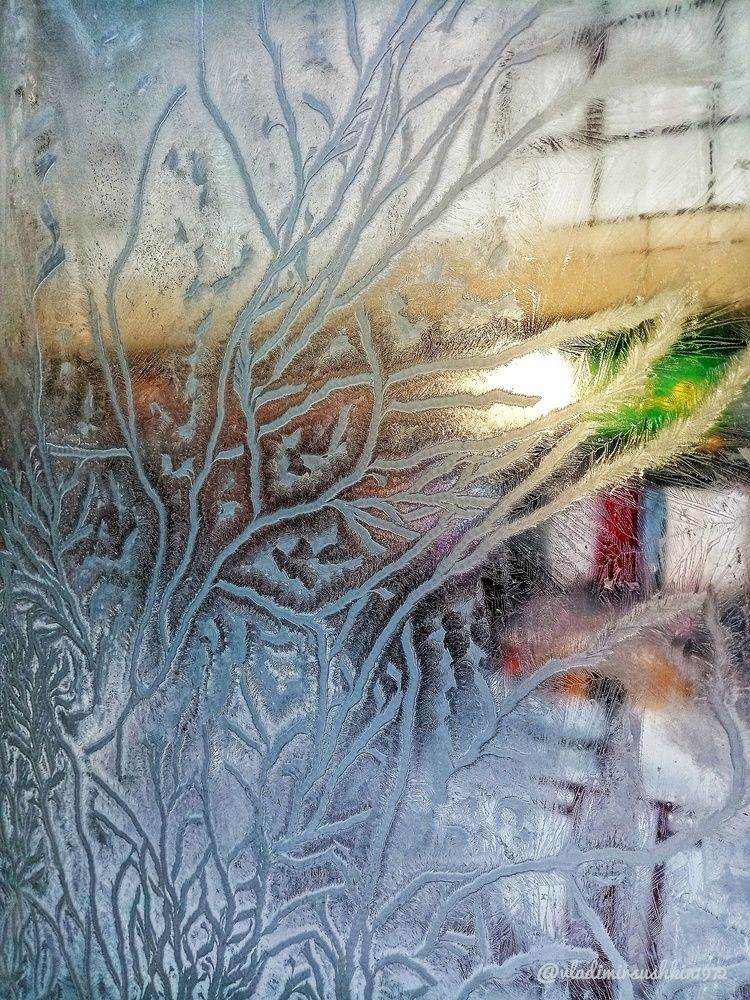 Photograph by Владимир Сушкин